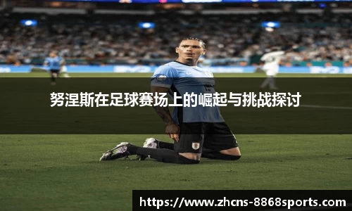 努涅斯在足球赛场上的崛起与挑战探讨