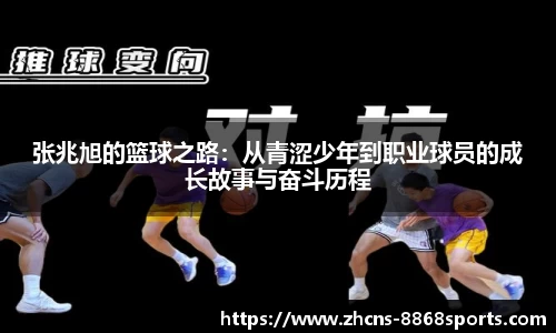 8868体育官网