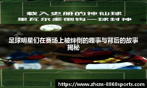 8868体育官网
